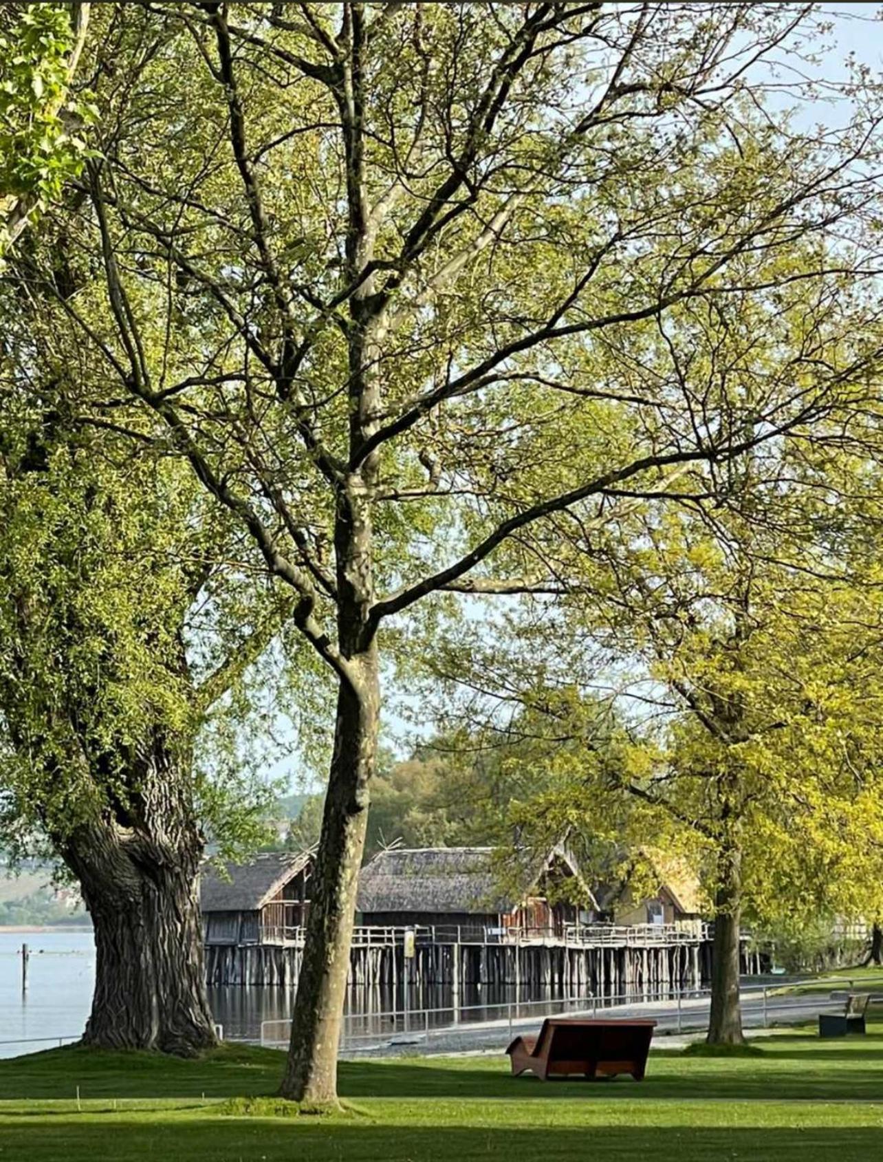 Gaestehaus Maeder Am Hafen Uhldingen-Mühlhofen Exterior foto
